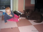 Превью фото № 166433