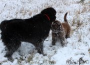 Превью фото № 166673