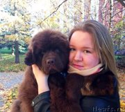 Превью фото № 166677