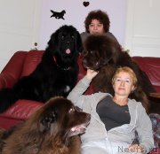 Превью фото № 166681