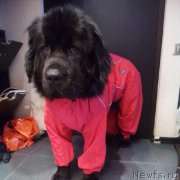 Превью фото № 166778