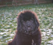 Превью фото № 166839