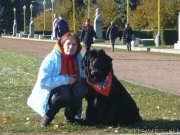 Превью фото № 166848