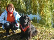 Превью фото № 166850