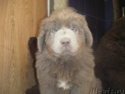 Превью фото № 166871