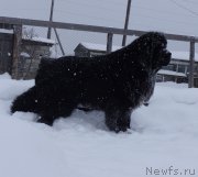 Превью фото № 166883