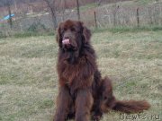 Превью фото № 166887