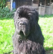 Превью фото № 166900