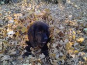 Превью фото № 166938