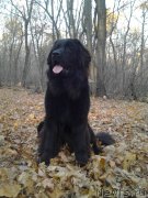 Превью фото № 166941