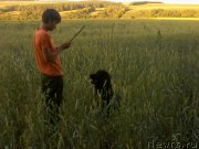 Превью фото № 166952