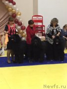 Превью фото № 166958