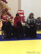 Превью фото № 166961