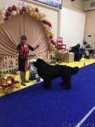 Превью фото № 166963