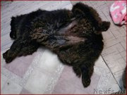 Превью фото № 167014