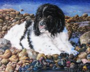 Превью фото № 167026