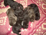 Превью фото № 167094