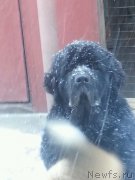 Превью фото № 167100