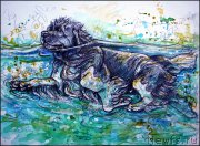 Превью фото № 167128