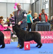 Превью фото № 167198