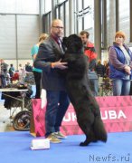 Превью фото № 167201