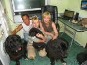 Превью фото № 167224