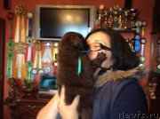 Превью фото № 167242