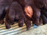 Превью фото № 167246