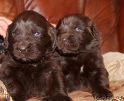 Превью фото № 167285