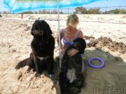 Превью фото № 167290