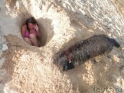 Превью фото № 167292