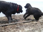 Превью фото № 167294