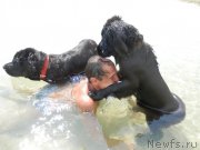 Превью фото № 167295