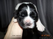 Превью фото № 167336