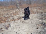 Превью фото № 167339