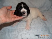 Превью фото № 167340