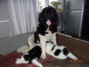 Превью фото № 167359