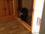 Превью фото № 167393