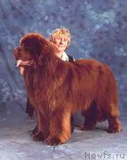 Превью фото № 167434