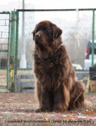 Превью фото № 167457