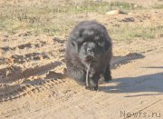 Превью фото № 167460