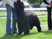 Превью фото № 167522