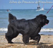 Превью фото № 167534