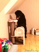 Превью фото № 167563