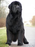 Превью фото № 167596