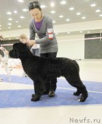 Превью фото № 167618