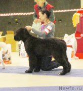 Превью фото № 167622