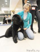 Превью фото № 167624