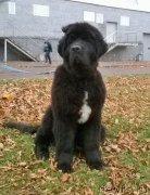 Превью фото № 167625