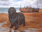 Превью фото № 167641